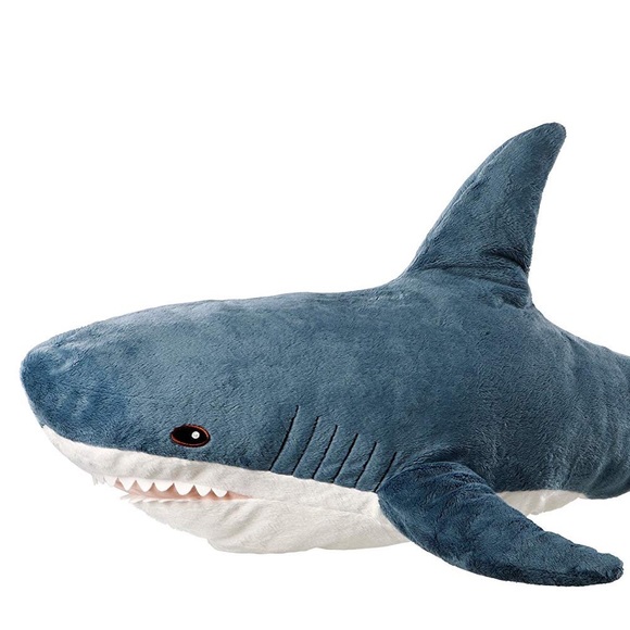 sashark